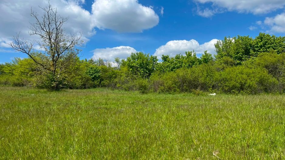 TEREN INTRAVILAN DE VÂNZARE – 3.610 MP | VIILE SIBIULUI | INVESTIȚIE - Poză 3
