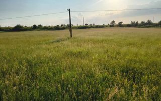 Teren extravilan de vânzare | Cârțișoara | 1800 mp - Poză 3