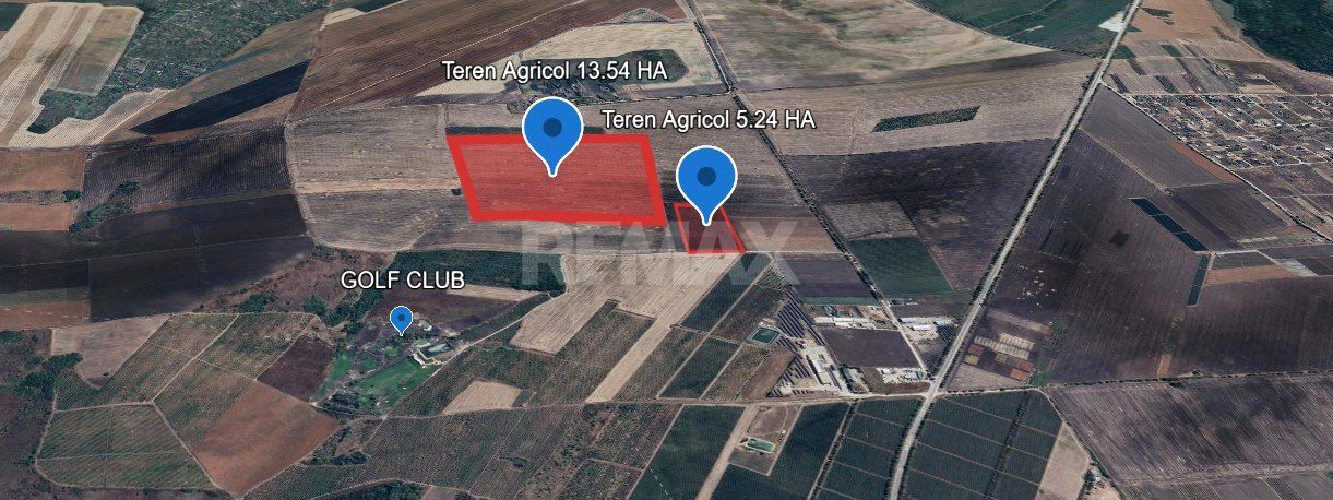 Teren Agricol 5.24 HA com. Cruzești mun. Chișinău - Poză 7