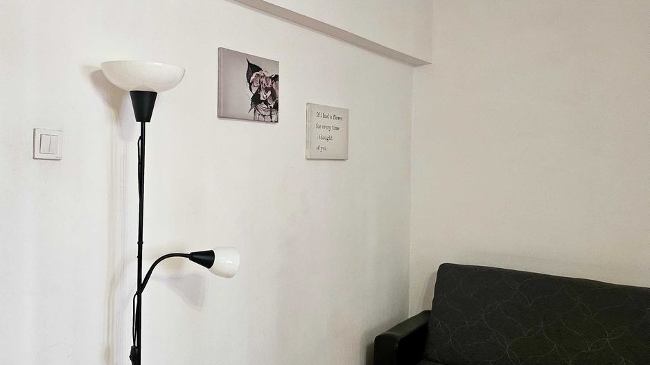 Garsoniera Titan, metrou 3 min, langa Lidl, acces rapid, pet friendly - Poză 3