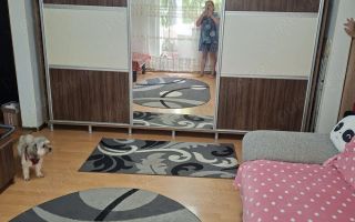 Apartament 3 camere la Piata Progresul - Poză 2