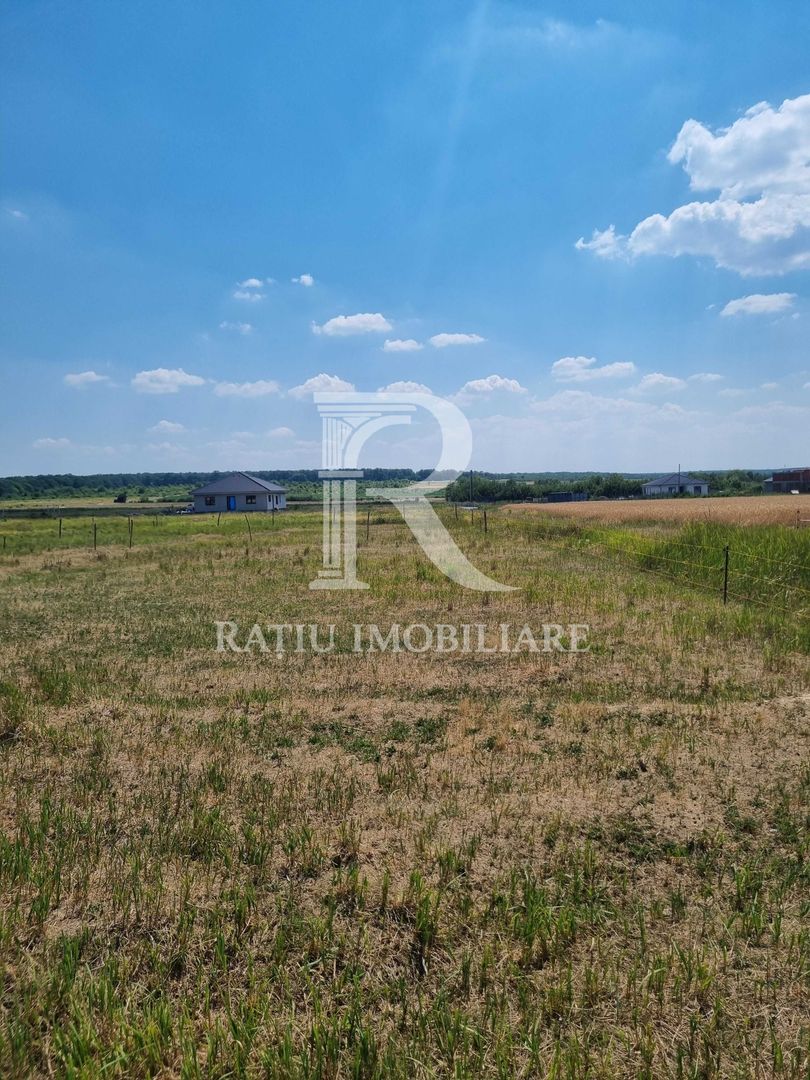 Teren intravilan | Cihei | Bihor - Poză 5