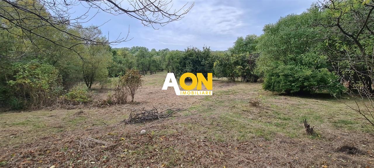 De vanzare casa 4 camere 1392 mp teren in Oarda de Sus - Poză 15