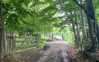 CASA 3 CAMERE, TEREN 3100 MP, ALBESTI DE MUSCEL, ARGES - Poză 17