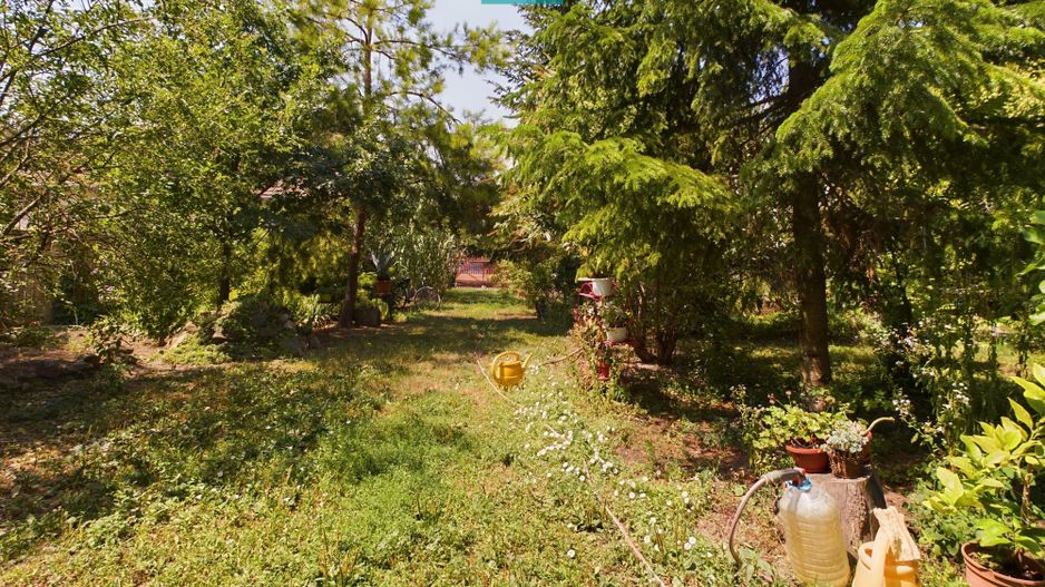 Casă cu livadă de pomi în Dorobanți - Poză 22