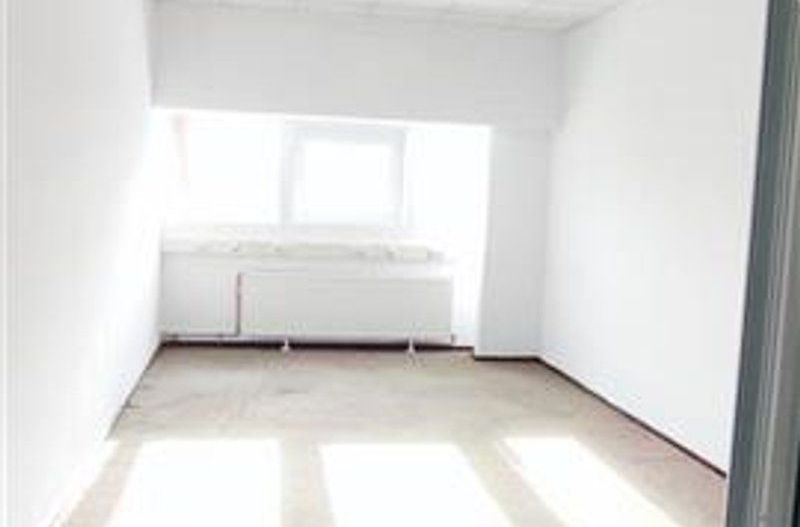 hale in parcul Roman sau tractorul - Poză 10