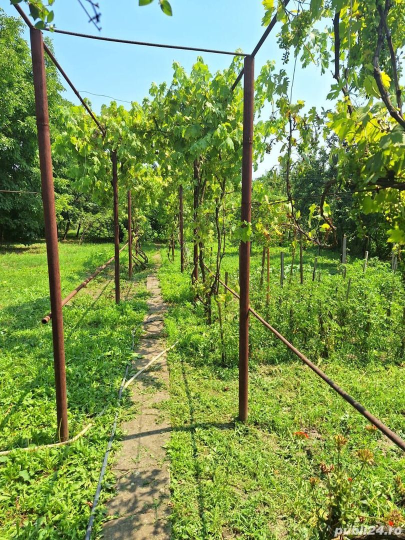 Casă cu teren generos de 1642 mp de vânzare în oraș (Zona Dâmbovița) - Poză 4