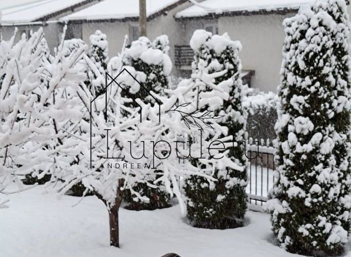 Casa de Vanzare | Individuala | 5 Camere |  184 MPU | Sura Mare - Poză 17