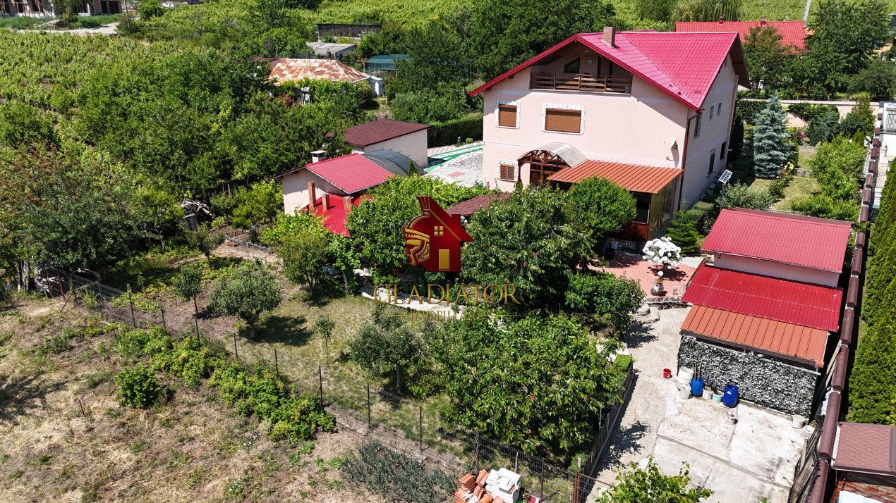 Vila impresionanta Husi + 2835 mp teren, P+1+M, constructie deosebita - Poză 21