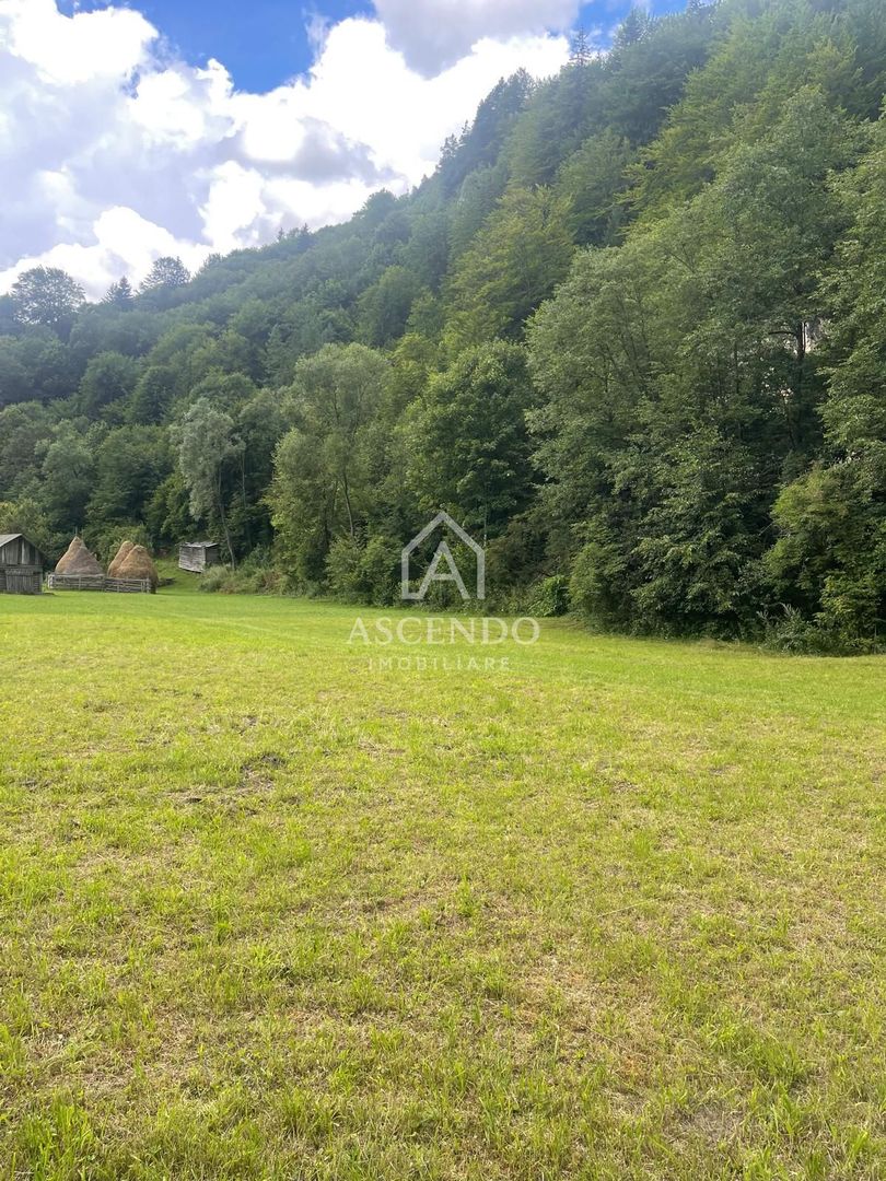 Teren pentru investiție turistică în Dâmbovicioara – Baranga | 4.500 mp | Front ~102 ml - Poză 6