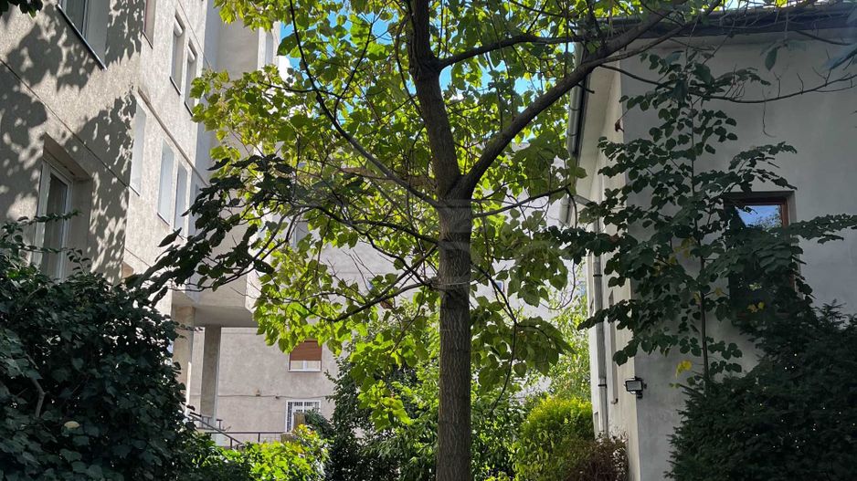 Casa individuala de vanzare aproape de centru - Poză 3