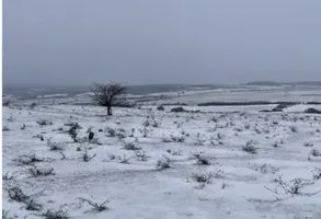 Teren Extravilan I 2.000 MP I Daia (Dealul 2), Comuna Roșia, Sibiu - Poză 1