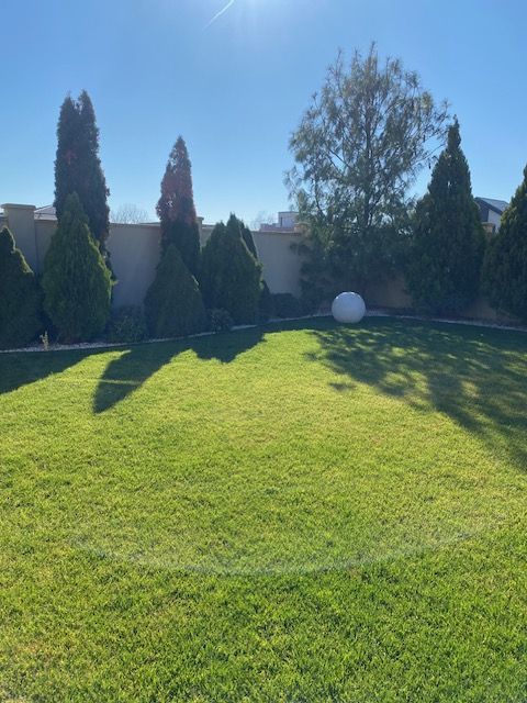 Casa individuala Dumbravita - Poză 64