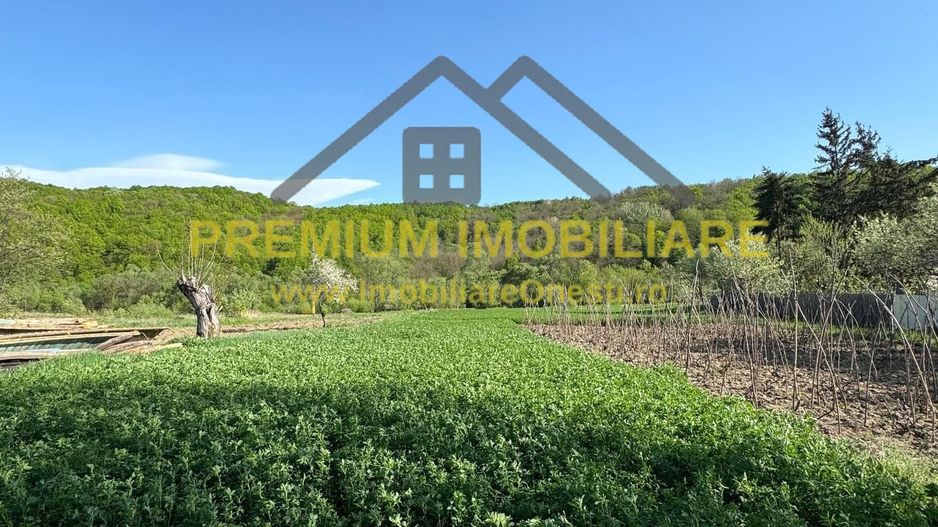 Casa Barsanesti - Poză 15