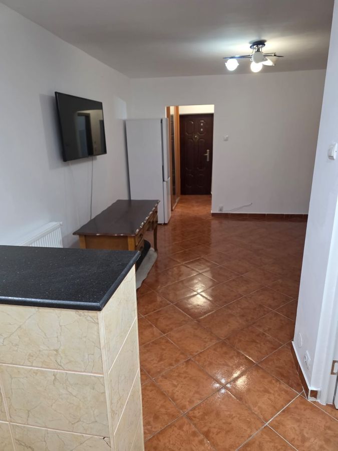 BRASADAS inchiriaza gars PARTER Mihai Bravu, Kaufland. - Poză 8