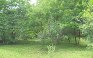 Teren Breaza de Jos, Prahova, Podu Vadului, 3750 mp (posibilitate si de 6000 mp) - Poză 2