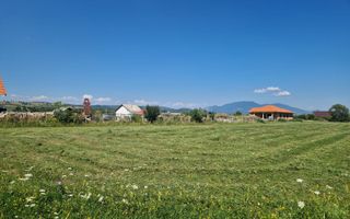 Teren de vânzare – 2 parcele extravilane în Livezile - Poză 3