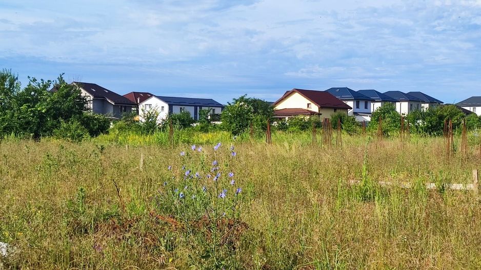 Teren  + Autorizatie Construire - Poză 2