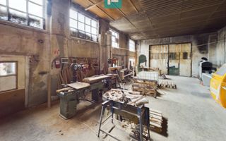 Fabrică de prelucrare a lemnului și palului - Poză 10