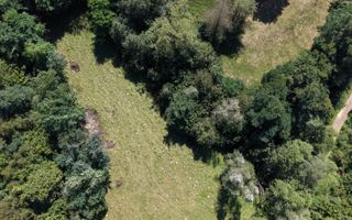 TEREN DE VÂNZARE – ZĂRNEȘTI 2200 Mp - Poză 9