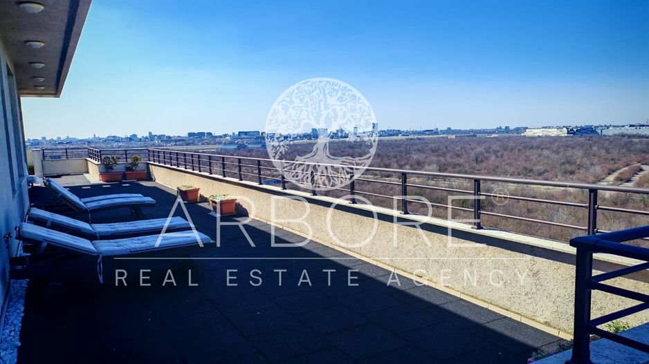 Penthouse 5 camere 250 mp lângă Ambasada SUA , zona Băneasa București - Poză 28