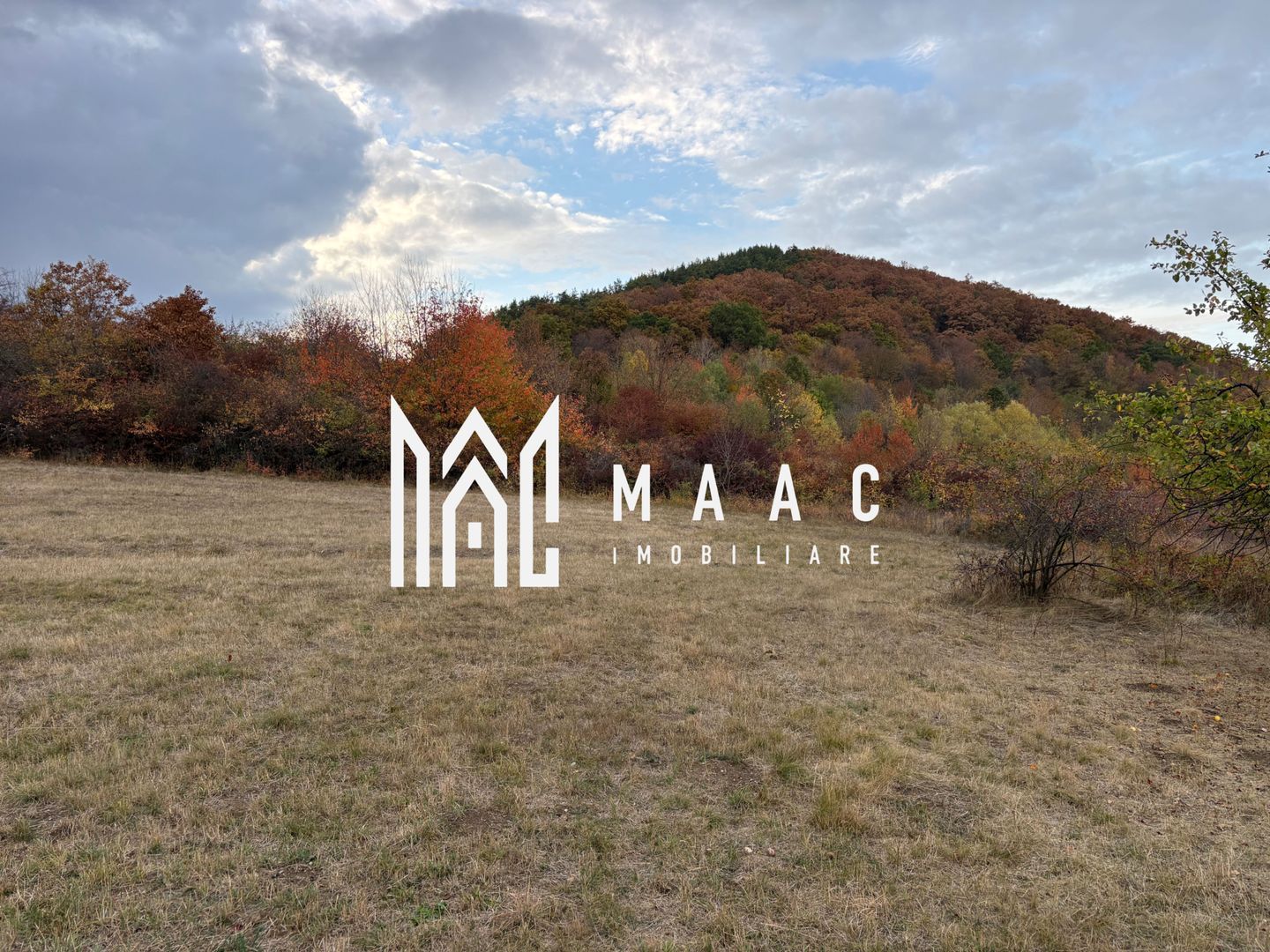 Teren de vânzare 5.000 mp | Poplaca | lângă pădure - Poză 3