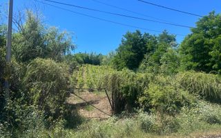 Teren intravilan de vânzare – Andrașești - Poză 2