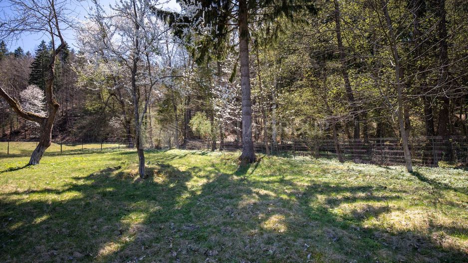 Teren intravilan, pretabil pentru casa de vacanta, 2000 mp - Poză 3