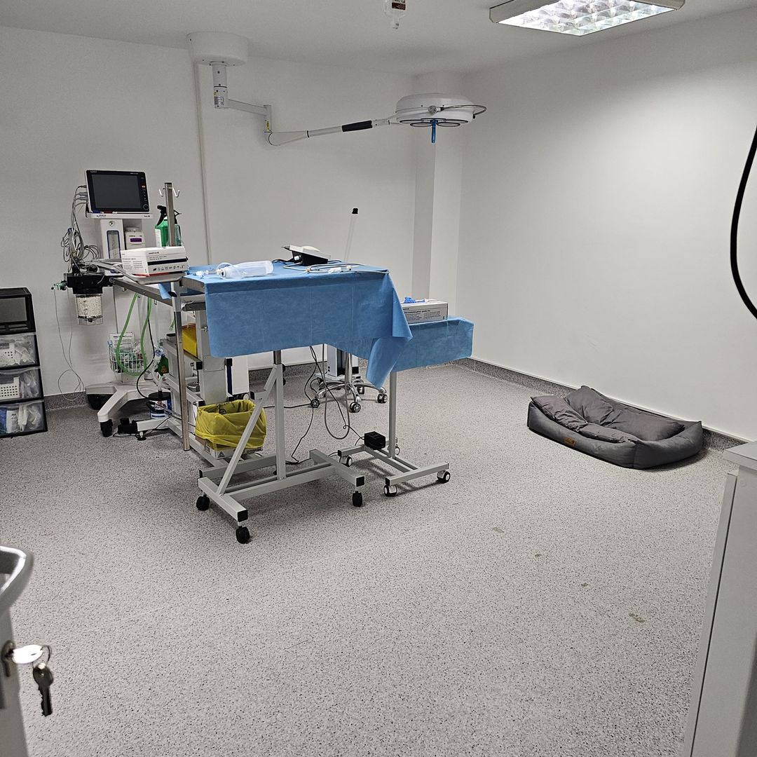 OCAZIE Spatiu Comercial Herastrau/Aviatiei - Poză 11