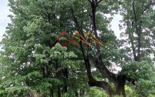 Teren 2500 mp, acces drum asfaltat, Bustenari, Telega Prahova - Poză 6