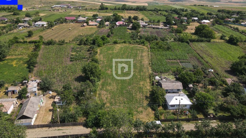 Teren - Ionășeni | BOTOȘANI | 3.285mp - Poză 2