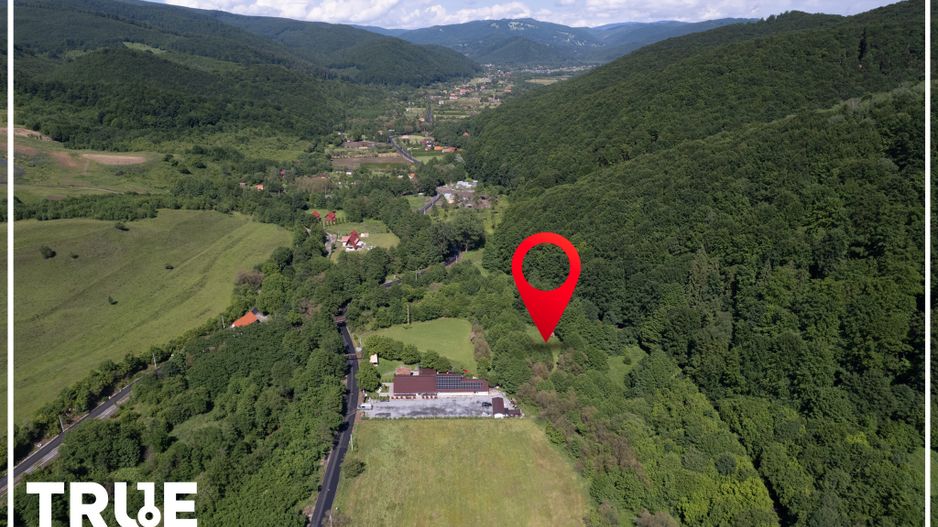 Teren intravilan 2.800 m² în Câmpu Cetății – liniște și natură - Poză 2
