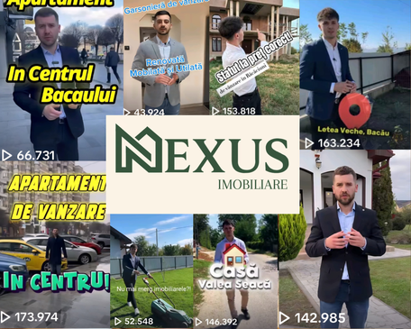 
    Prezentare profesională care vinde
  