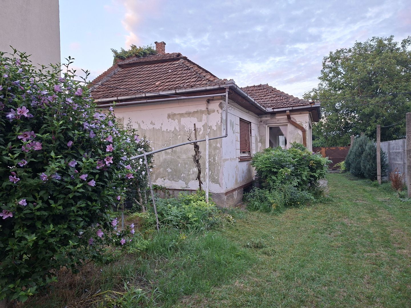 BRASADAS vinde casa individuala 2 cam teren 6 ari Titulescu. - Poză 1