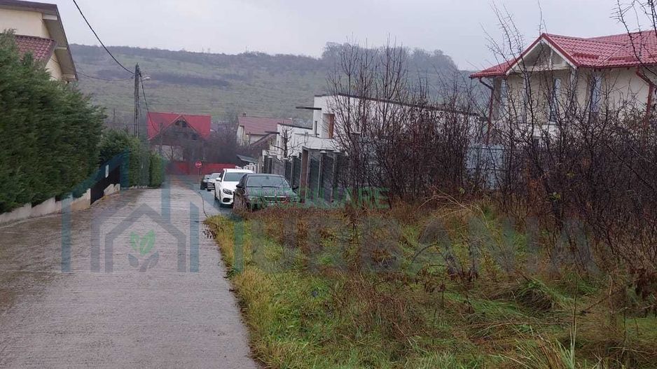 Teren Bucium 3 min de Hanul 3 sarmale, la Soseaua Barnova - # - Poză 7