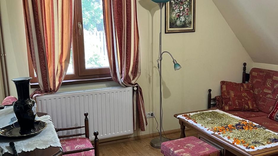 Casă elegantă, spațioasă, ideală pentru familie – Sanmihaiu Roman - Poză 25