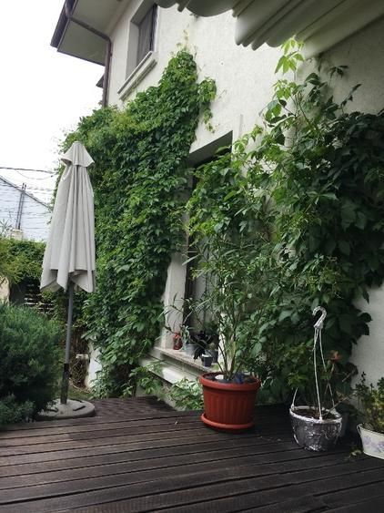 Casa de arhitect in Sector 1 - Poză 3