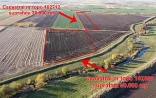 Halchiu Brasov, 80.000 mp teren extravilan - agricol - Poză 1