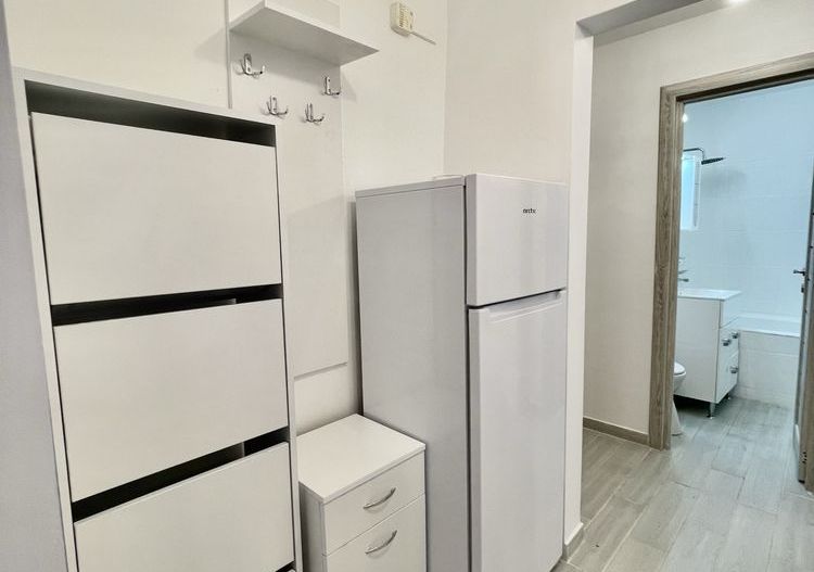 2 camere, Piata Victoriei, Titulescu, Banu Manta, Kisseleff - Poză 6