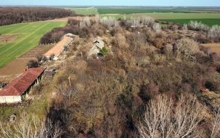 Ferma si livada de meri in judetul Ilfov - Poză 18