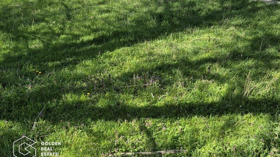 Teren 3,5 ha, comuna Barzava - Poză 1