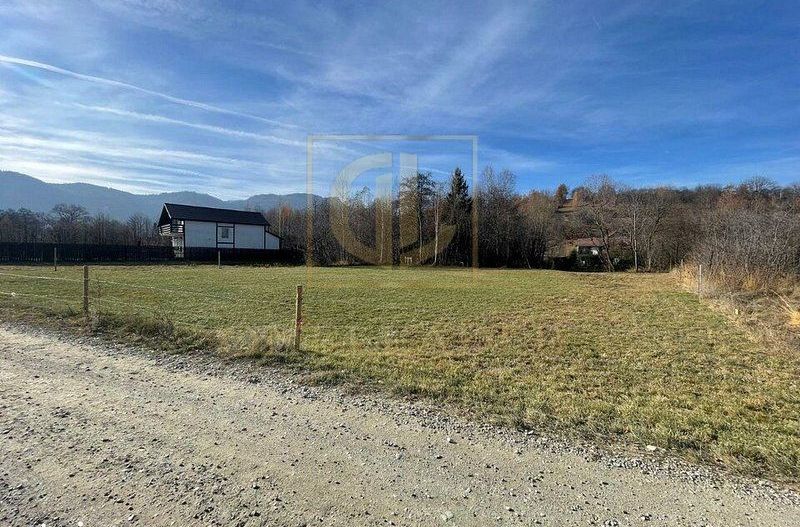 Teren 3349 mp de Vânzare | Bran – Panoramă Munții Bucegi - Poză 3