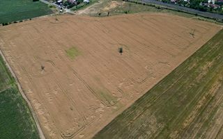 Tern intrevilan 4003 mp - Poză 12