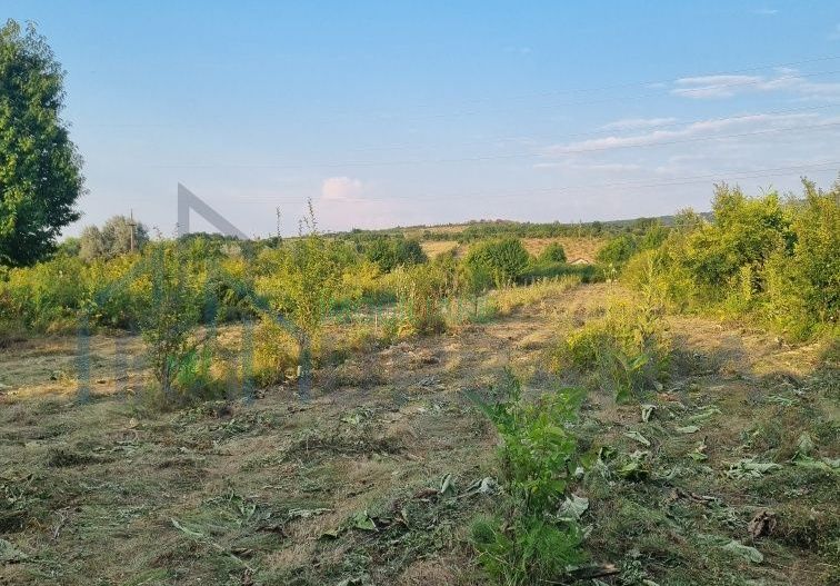 Teren intravilan 4.000 mp în sat Curături, comuna Ciurea - Poză 2