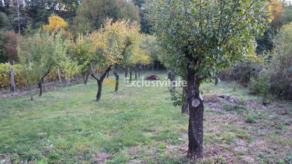 Casă cu priveliște de poveste – Crasna, Gorj - Poză 33