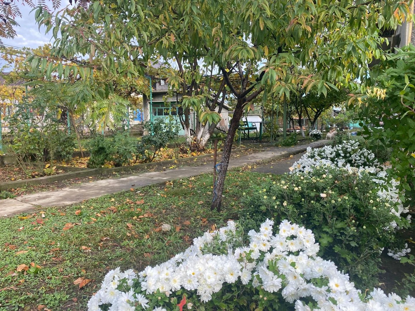 Vanzare casă cu teren generos în Săcueni, la 15 minute de Târgoviște - Poză 16