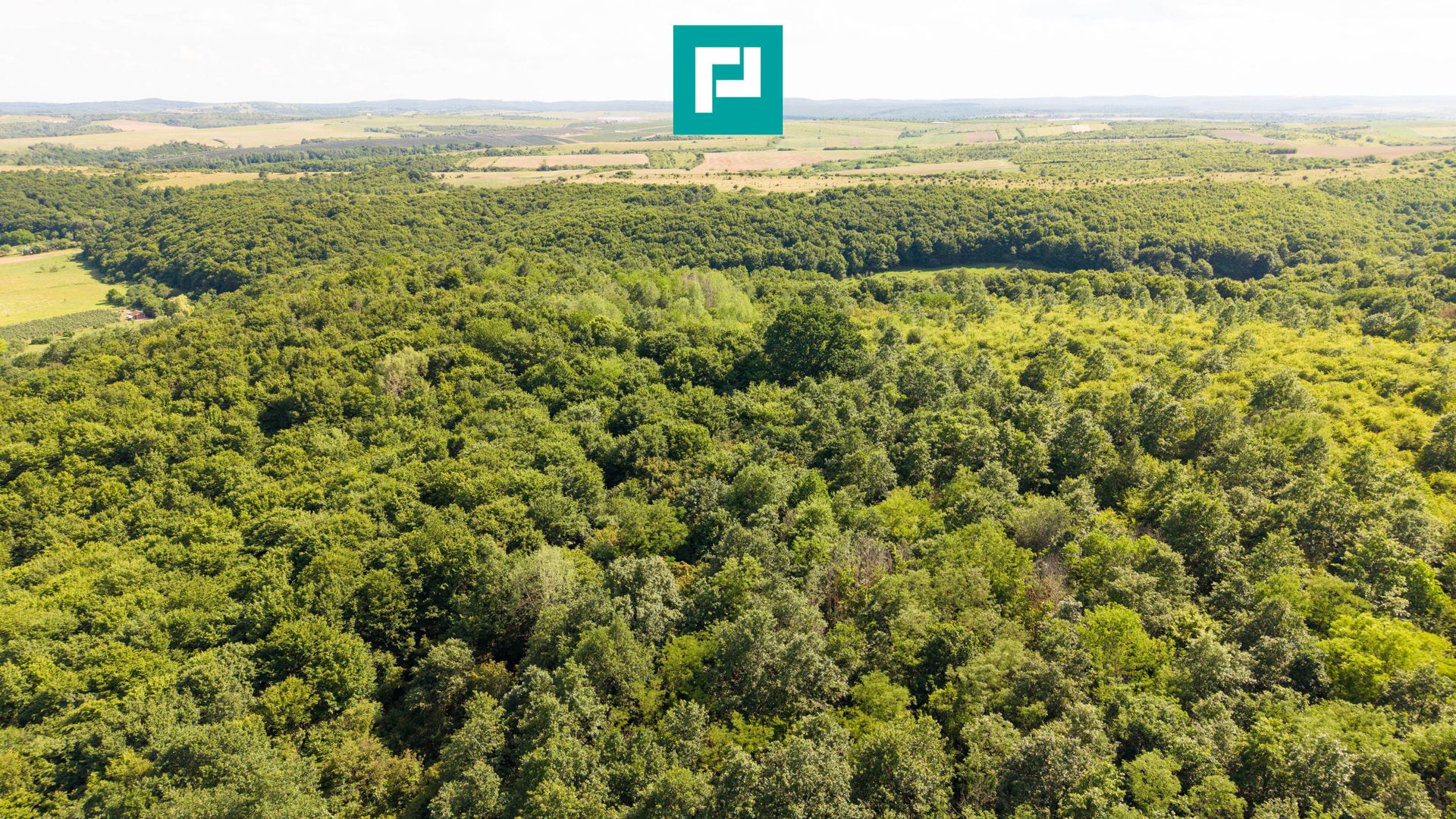 TEREN AGRICOL EXTRAVILAN  22.900 MP LIPOVA - Poză 13