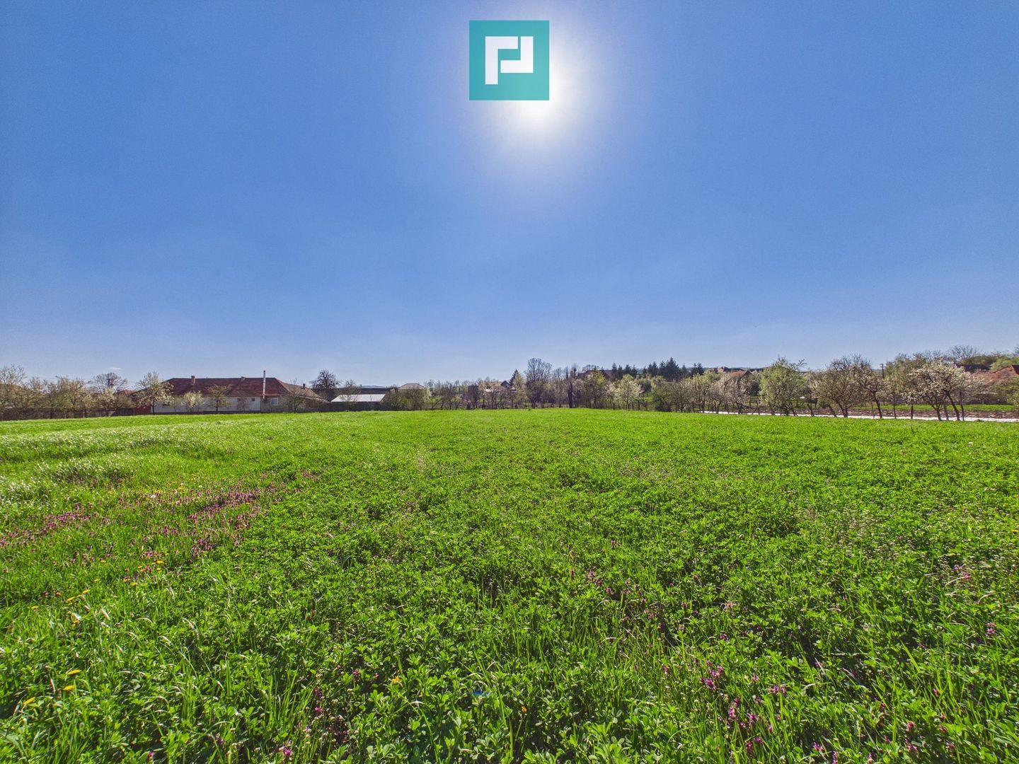 Teren intravilan 3024 mp, în comuna Almaș, Arad - Poză 4