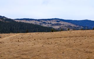 3149 MP in Statiunea Turistica Montana, Belis - Cluj, VEDERE LA LAC - Poză 3