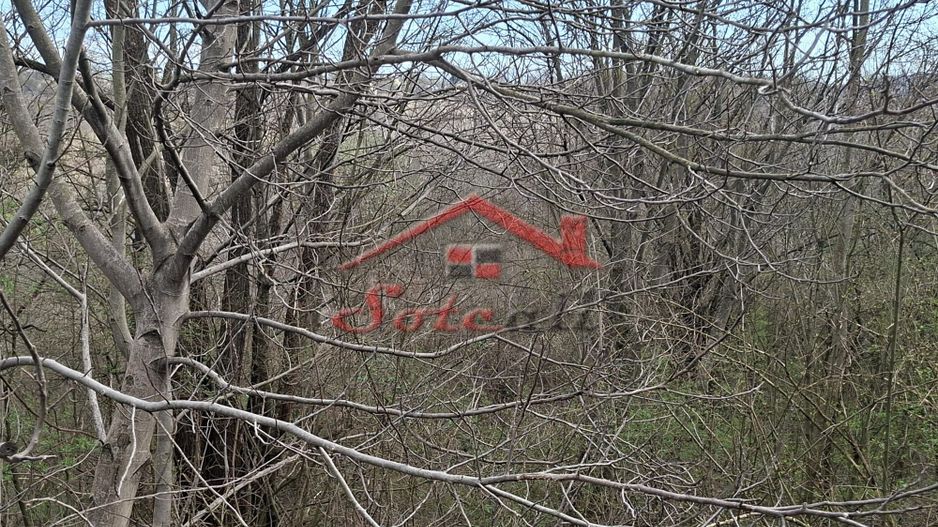 Teren de vanzare Cornu de Jos - Poză 1